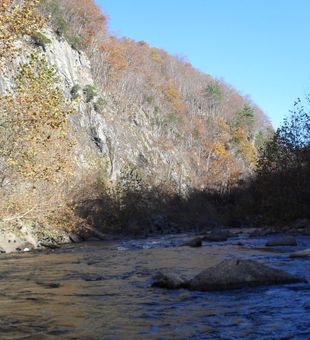 River Fishing in Virginia